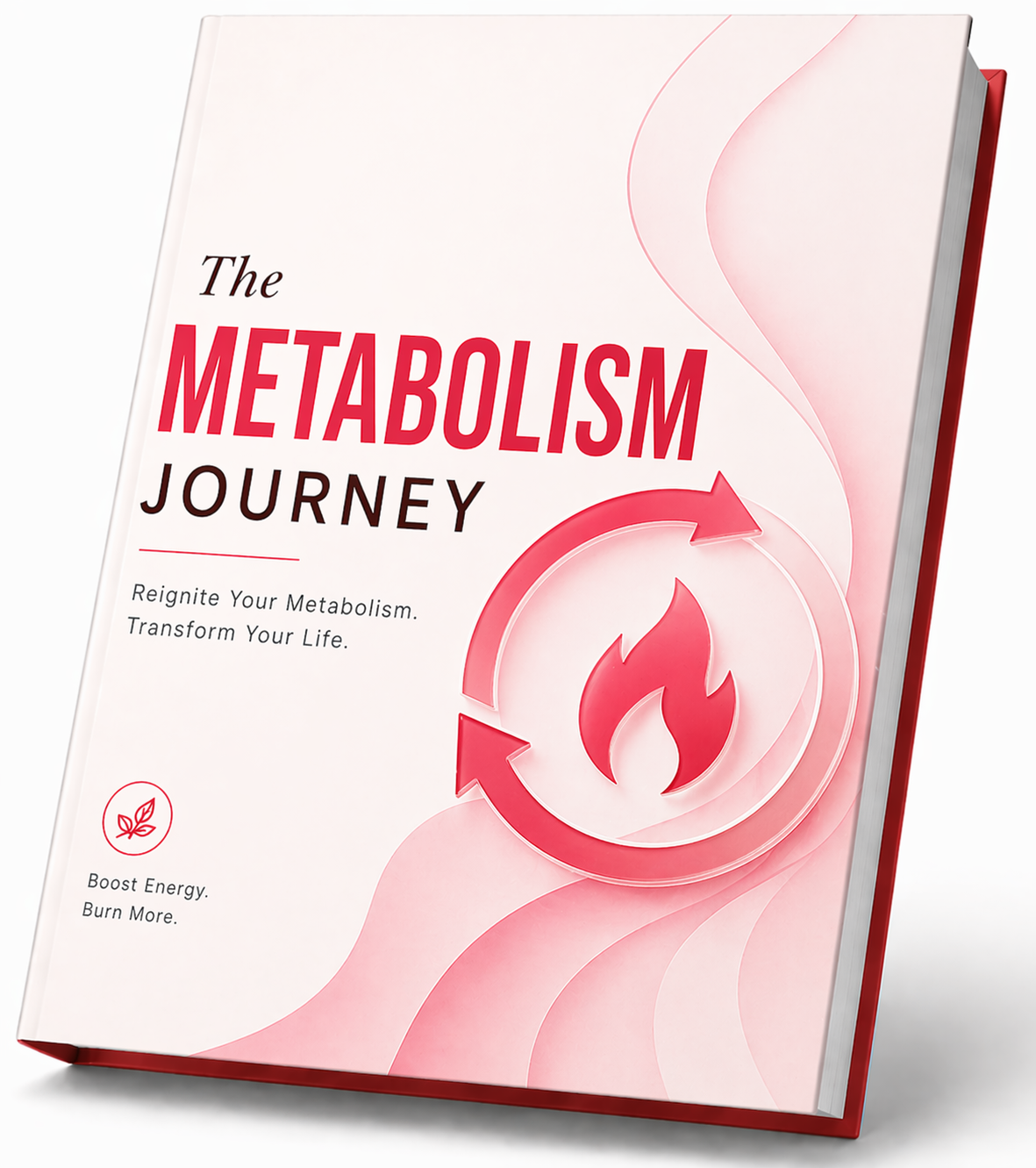 The Metabolism Journey ebook